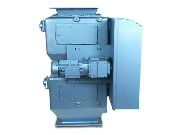 Double Flap Valve
